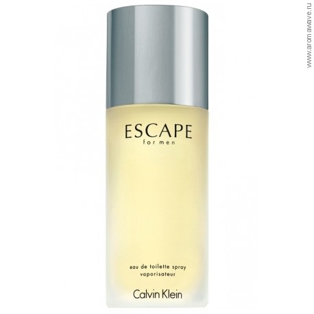Calvin Klein Escape for Men